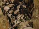 Environnement - 