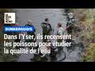 Dunkerquois : dans l'Yser, ils recensent les poissons pour étudier la qualité de l'eau