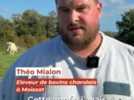Agriculture - 