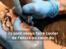 Tattoo - Les piqués de tatouages sont venus par centaines à la première convention internationale organisée à Nevers