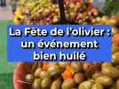 La Fête de l'olivier : un événement bien huilé