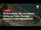 VIDEO. En Colombie, des anciennes terres de Pablo Escobar données à des agriculteurs