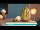 Local Génial - 08/10/2025 - Partie 1