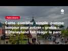 VIDEO. Cette combine simple comme bonjour pour entrer « gratos » à Disneyland fait réagir le parc