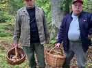 À la forêt de Mormal : une bonne année à cèpes