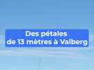 Des pétales de plus de 13 mètres de long ? Découvrez les images de ce chantier spectaculaire à Valberg