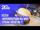 Le Parlement européen interdit le mot steak végétal