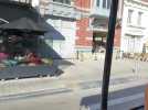 Testé pour vous : une balade dominicale en calèche dans les rues de Saint-Amand-les-Eaux