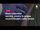 VIDEO. Deux nouveaux vaccins contre la grippe recommandés cette année