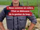 Choiseul (Haute-Marne) : « Nous sommes en colère, l'Etat se dédouane de la gestion du loup »