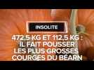 Insolite : Il fait pousser les plus grosses courges du Béarn