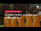 VIDÉO. Coupe du monde 2026. La Côte d'Ivoire qualifiée pour le Mondial si...