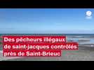 VIDÉO. Des pêcheurs illégaux de coquille Saint-Jacques contrôlés en pleine nuit près de Saint-Brieuc