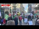 VIDÉO. 150 personnes mobilisées à Nantes en faveur de la Palestine, ce samedi