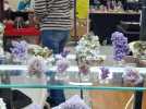 La 3e édition du salon des minéraux à Salouël
