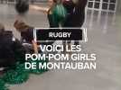 Voici les pom-pom girls de l'équipe de rugby de Montauban