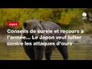 VIDEO. Conseils de survie et recours à l'armée... Le Japon veut lutter contre les attaques d'ours