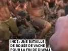 Inde: une bataille de bouse de vache pour la fin de Diwali