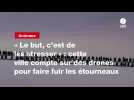 VIDEO. « Le but, c'est de les stresser » : cette ville compte sur des drones pour faire fuir les étourneaux