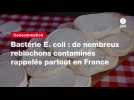 VIDEO. Bactérie E. coli : de nombreux reblochons contaminés rappelés partout en France