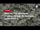 VIDEO. Mais au fait, pourquoi n'existe-t-il pas de monnaie universelle ?
