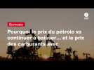 VIDEO. Pourquoi le prix du pétrole va continuer à baisser... et le prix des carburants avec