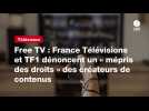 VIDEO. Free TV : France Télévisions et TF1 dénoncent un « mépris des droits » des créateurs de contenus