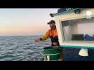 VIDÉO. « Ça donne du poisson top qualité »: immersion avec un pêcheur à la ligne des Sables-d'Olonne