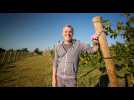 Vivez les premières vendanges de Laurent Houzé à Erquy !