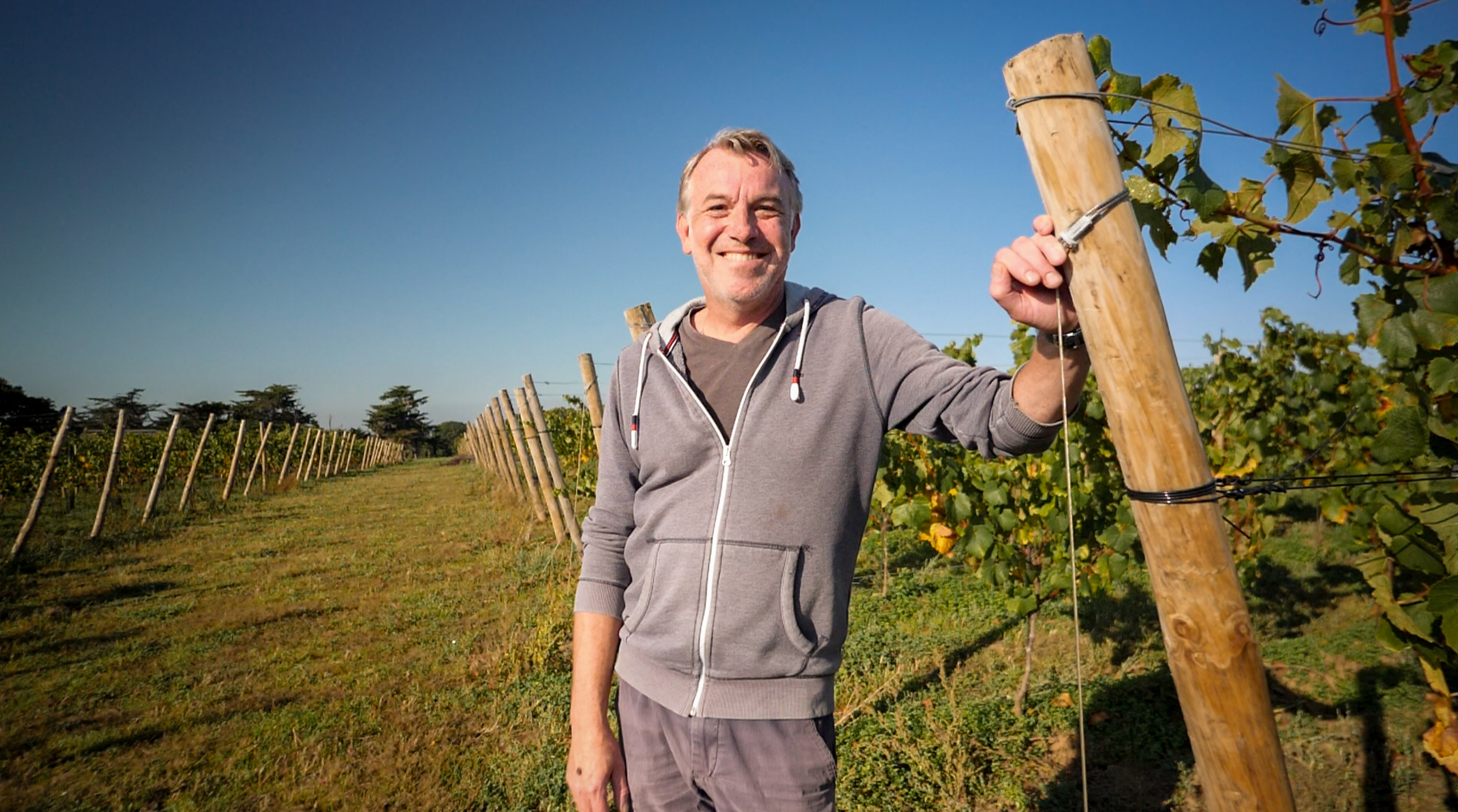 D’Engie à la vigne : à Erquy, Rendez-vous en Côtes-d’Armor a suivi Laurent Houzé lors de ses premières récoltes