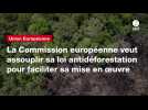 VIDEO. La Commission européenne veut assouplir sa loi antidéforestation pour faciliter sa mise en oeuvre