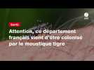 VIDEO. Attention, ce département français vient d'être colonisé par le moustique tigre