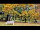 VIDEO. Où profiter de l'automne autour de Granville ?
