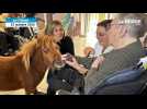 VIDÉO. Dans cet Ehpad, les résidents apprécient les visites de Ninja, le poney miniature