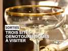 Trois sites oenotouristiques à visiter