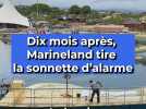 Dix mois après, Marineland tire la sonnette d'alarme