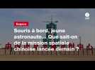VIDEO. Souris à bord, jeune astronaute... Que sait-on de la mission spatiale chinoise lancée demain ?
