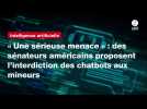 VIDEO. « Une sérieuse menace » : des sénateurs américains proposent l'interdiction des chatbots aux mineurs