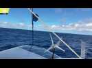 Les Imoca prêts à traverser l'Atlantique, les Ocean Fifty regroupés à la recherche de vent... revivez en vidéo la journé