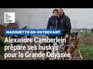 Alexandre Camberlein prépare ses huskys pour la Grande Odyssée