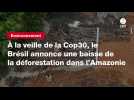 VIDEO. À la veille de la Cop30, le Brésil annonce une baisse de la déforestation dans l'Amazonie
