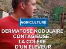 Dermatose nodulaire contagieuse : la colère d'un éleveur