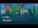 L'info du jour | 1er novembre 2025 - Soir