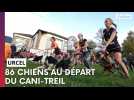 Le 3e Cani-trail d'Urcel attire plus de 80 chiens