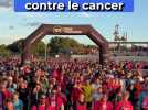 Ils ont rapporté 30 000 ¬ à la lutte contre le cancer
