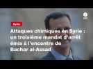 VIDEO. Attaques chimiques en Syrie : un troisième mandat d'arrêt émis à l'encontre de Bachar al-Assad