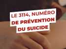 Le 3114, numéro de prévention du suicide