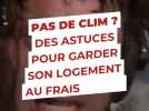 Pas de clim ? Des astuces pour garder son logement au frais