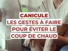 Canicule : les gestes à faire pour éviter le coup de chaud