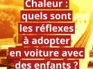 Les réflexes à adopter en voiture avec des enfants